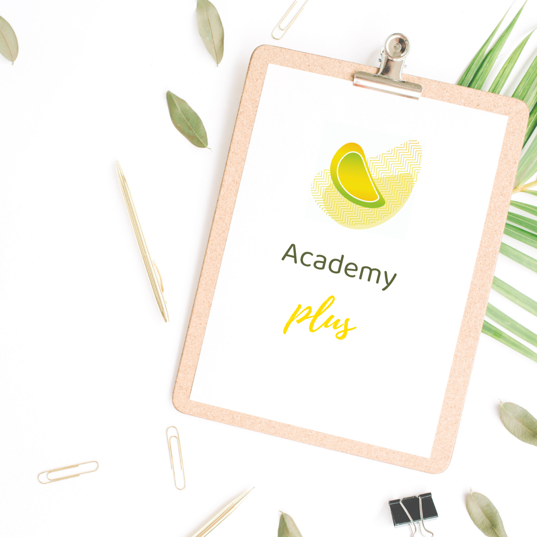 EMF-Academy Plus+